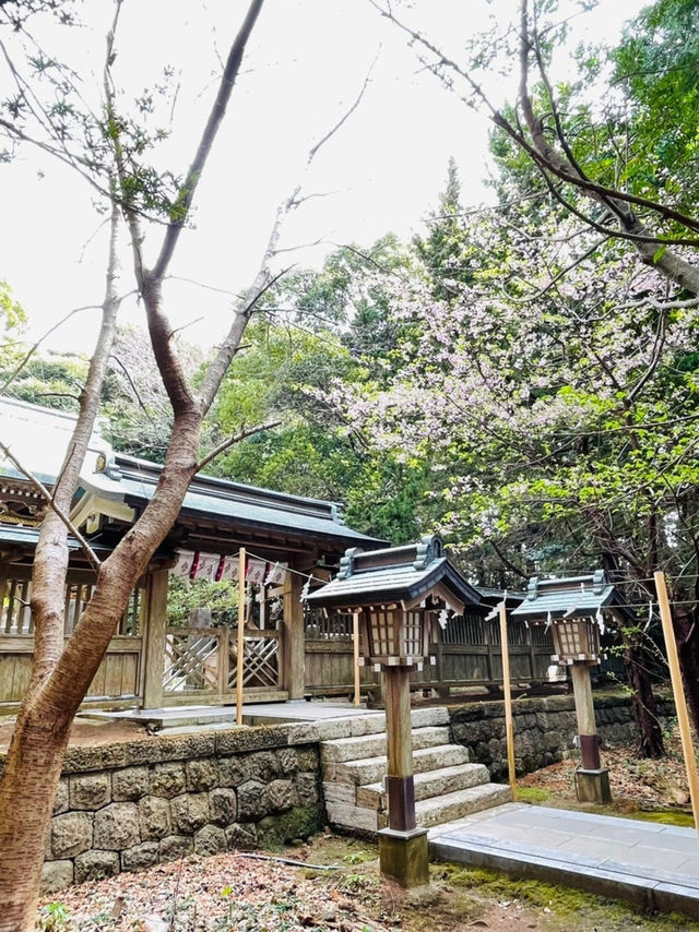 【静岡県/伊古奈比咩命神社】伊豆最古の神社と白浜海岸