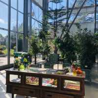 荷蘭🇳🇱 Hortus botanicus Leiden萊頓植物園🌵🪴室內篇