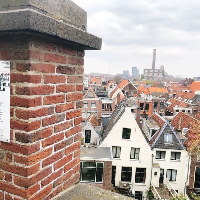 荷蘭🇳🇱萊頓🔰⚜️🔱 Burcht van Leiden 上層景觀篇