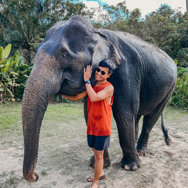 มาทำเค้กให้น้องช้างกินกัน ที่ เกาะสมุย 🎂🍰🧁
