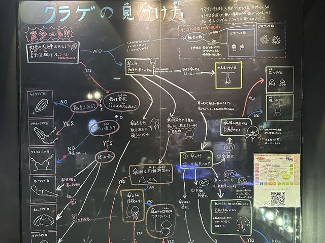 【山形】日本一のクラゲ水族館