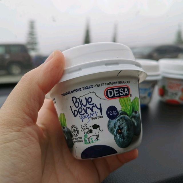 Desa Farm Kundasang, Sabah