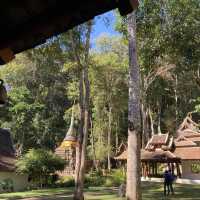 นั่งสมาธิธรรมชาติบำบัด ที่วัดผาลาด
