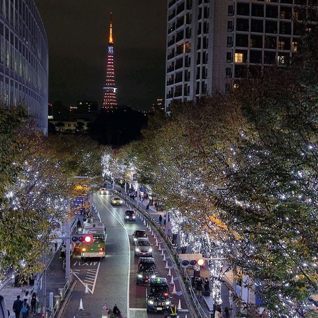 東京城市感受一日遊，築地市場－秋葉原－銀座－六本木