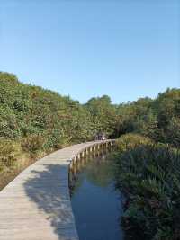 Hong Kong Wetland Park - Wetland and Marshes