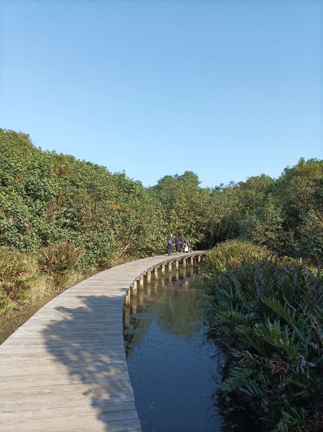 Hong Kong Wetland Park - Wetland and Marshes