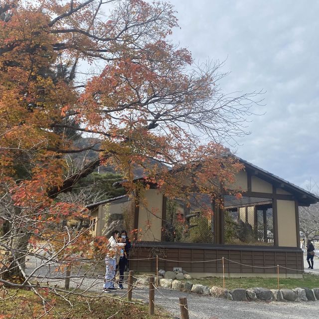 嵐山必去 風景優美嵐山公園