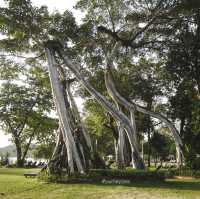 Khaolak Merlin Resort ที่พักเขาหลัก