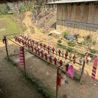วิสาหกิจชุมชนบ้านสบขุ่น : กาแฟสร้างป่า