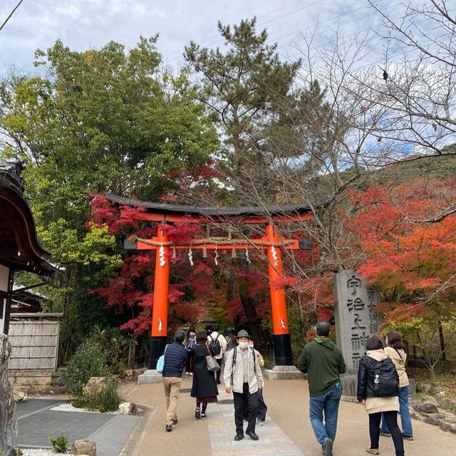 走進時光隧道——秋日遊宇治神社