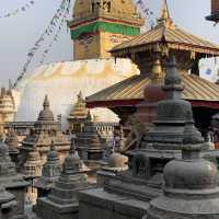 Nepal - Culture, wildlife and a bright smile