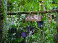 สวนก๋ง ร้านกาแฟในสวน จังหวัดระยอง