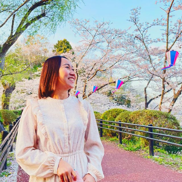 さくら🌸 ฤดูแห่งความน่ารัก