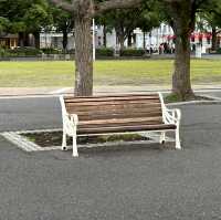 【横浜】夕方みなとみらい散歩・山下公園を散策