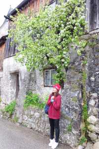 Hallstatt เมืองริมทะเลสาบที่สวยมาก