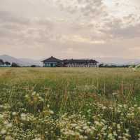 경주 노을명소 분황사