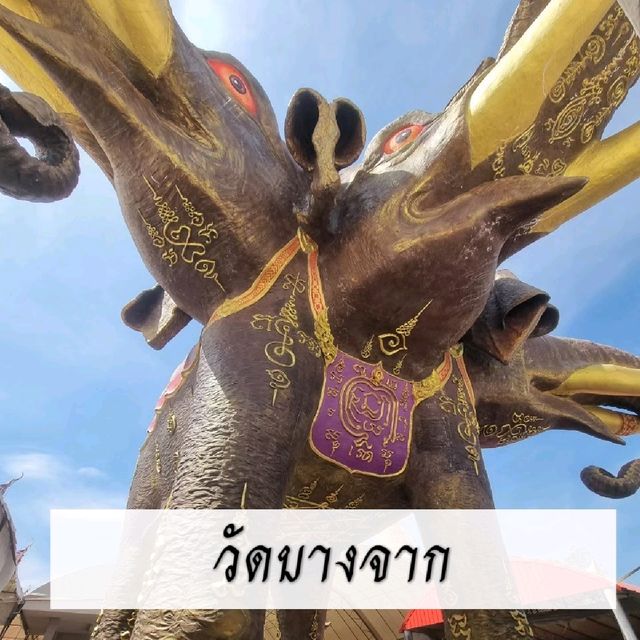 🐘วัดบางจาก🐘
