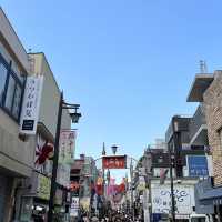 《東京近郊鎌倉一日遊》