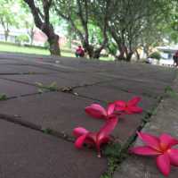 เที่ยวน่านเนิบๆยามฝน ได้ศึกษาพิพิธภัณฑสถานแห่งชาติ