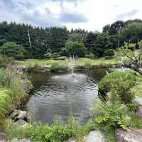 Forest Park