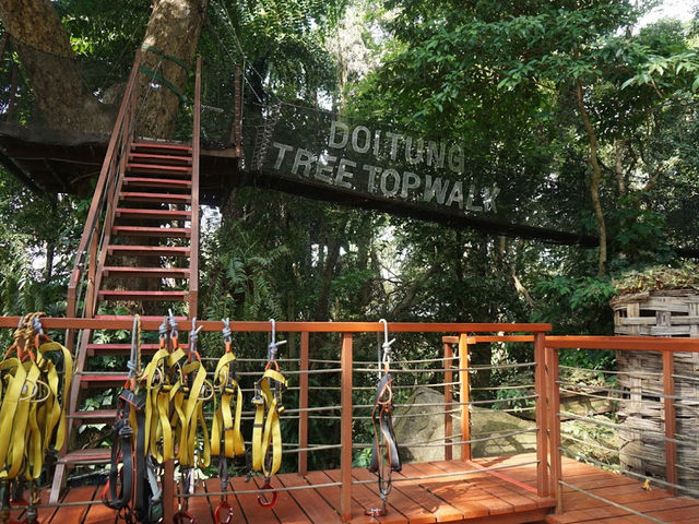 • Doi Tung Tree Top Walk 🎪✨