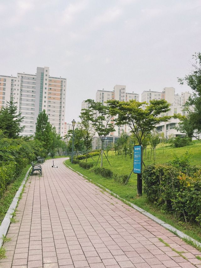 🌳 세종 고운동 참뜰 근린공원, 아침 산책하기 딱 좋은 코스 🌈