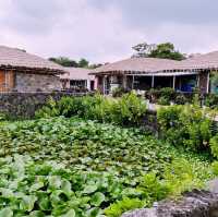 🏡 제주도식 전통 민속집을 볼 수 있는 성읍민속마을