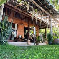 ม่อนสวนคาเฟ่ #ดอยสะเก็ด