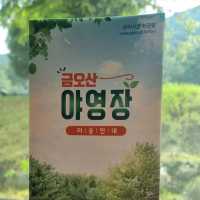 무료로 이용 금오산도립공원야영장