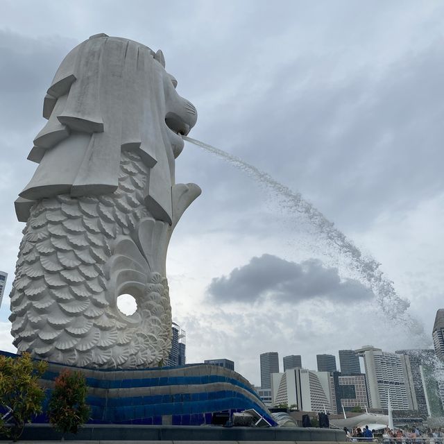 Discovering the Hidden Merlions