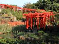高山稻荷神社：美景，特色鳥居，適合任何時間和場景