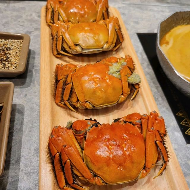 爆膏大閘蟹🦀•安格斯牛小排火鍋放題🐄
