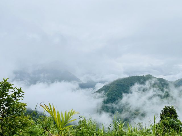 Sea of Clouds in Kalinga 🇵🇭