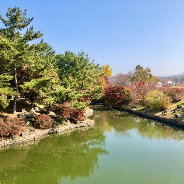 추억이 새록새록 피어나는 수학여행지 명소 “경주”