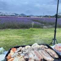 이색적인 순천체험 할 수 있는 곳(10/31까지 꼭 가세요)