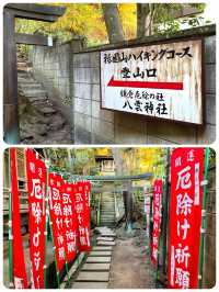 【神奈川県/八雲神社】鎌倉の厄除さん