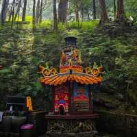 Alishan National Forest Recreation Area