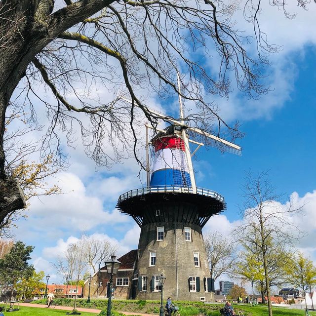 🇳🇱荷蘭萊頓Leiden🖼️🎡市區風車美景📍 Molen De Valk Molenmuseum De Valk