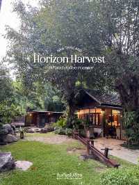 🌳จิบกาแฟที่ Horizon Harvest