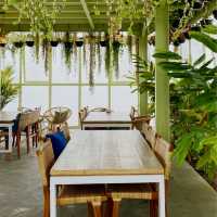 Kintamani Coffee - Eco Bike Coffee
