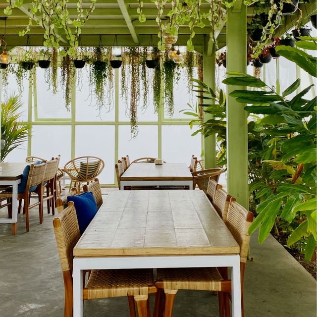 Kintamani Coffee - Eco Bike Coffee