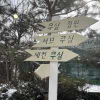 [홍천]  카페 쿠실 분위기 맛집 카페 , 고양이 카페