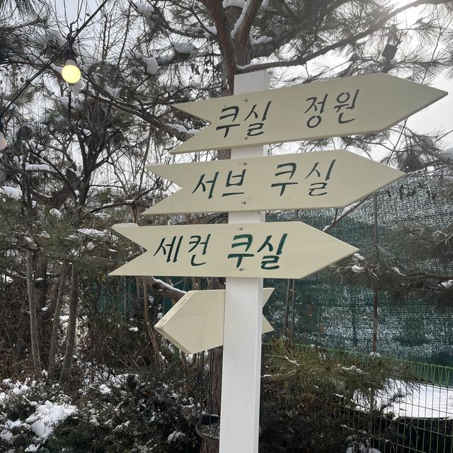 [홍천]  카페 쿠실 분위기 맛집 카페 , 고양이 카페