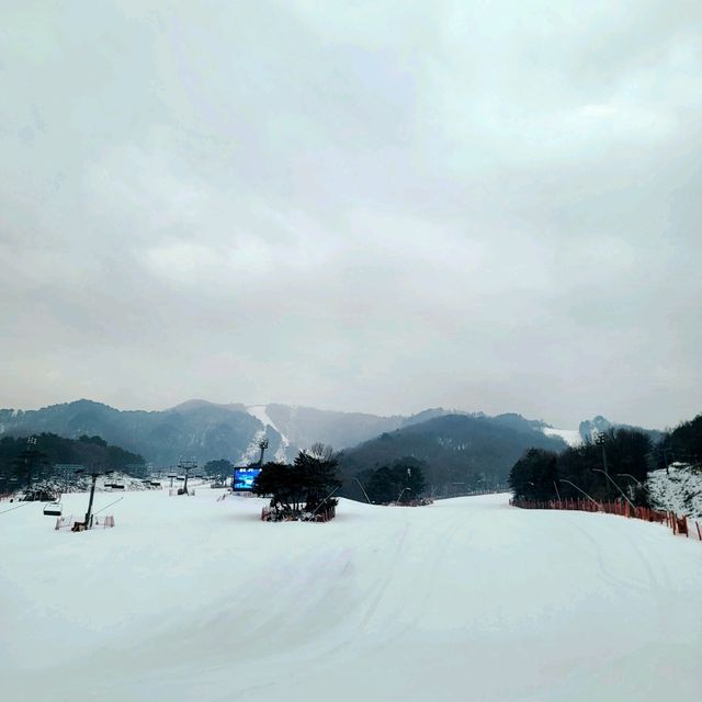 친구들과 무주스키장 여행