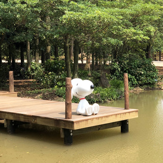 한국|제주도 ❤️스누피 파라다이스❤️팬이라면 꼭 가봐야 할 곳!