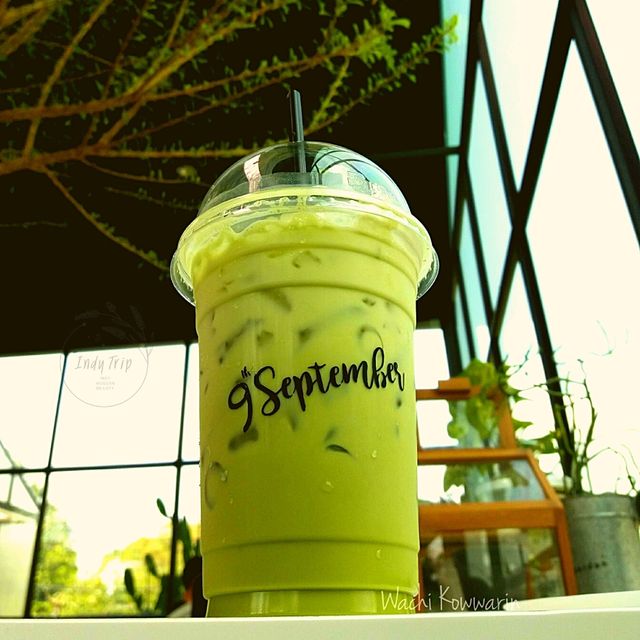 🏞️ กาแฟใต้ต้นไม้