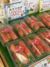 日本滋賀鹿深士多啤梨🍓園❤️