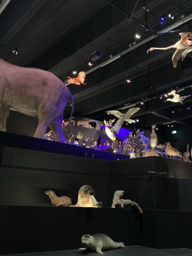 Naturalis Biodiversity centre, Leiden (NL) 