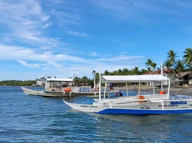 Apo Island, Dumaguete Philippines