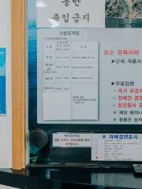 울릉도 여행코스 중 추천하는 독도일출전망대케이블카